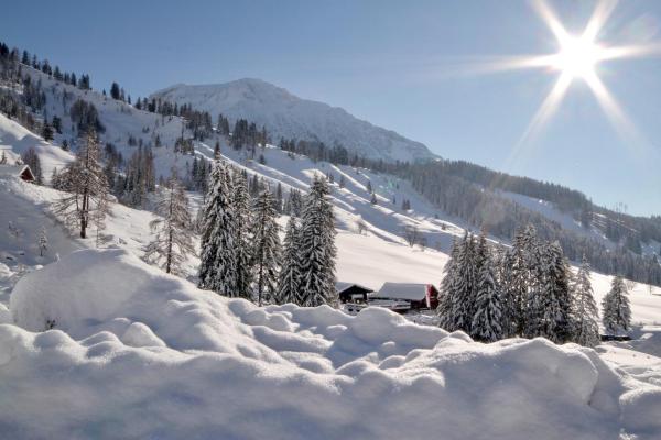 Bild 1 von 45: Im Bild: Oberhofalm, Filzmoos.