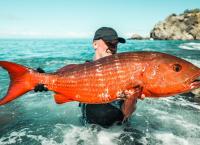 Chasing Monsters - Monsterfischen auf der Spur