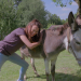Tierduell
