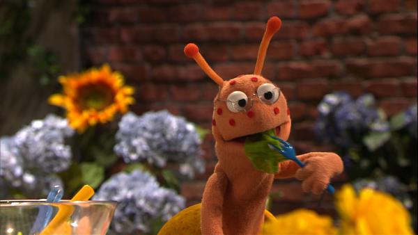 Bild 1 von 5: Die frisch gekaufte Salatsoße aus dem Supermarkt schmeckt wirklich gut. Doch dann hat Finchen plötzlich rote Punkte im Gesicht - eine Allergie!