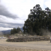 Abenteuer Panamericana