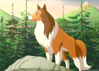 Lassie
