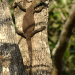 Abenteuer Wildnis