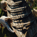 Vikings - Die wahre Geschichte