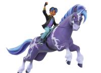 Unicorn Academy