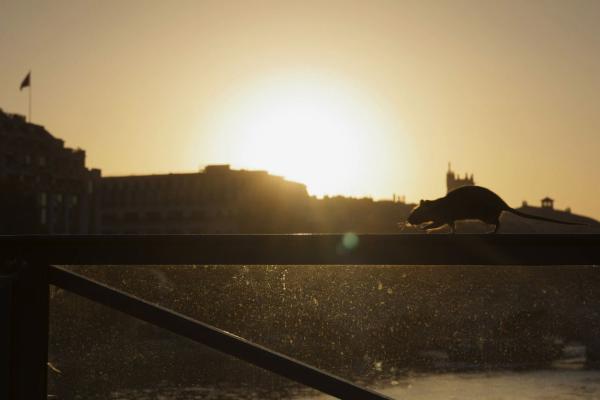 Bild 1 von 2: .