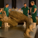T-Rex: Autopsie eines Killers