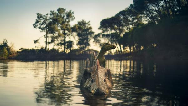 Bild 1 von 15: Forscher halten es für möglich, dass Spinosaurier-Männchen ihre Jungen betreut haben könnten, wie es auch heute noch bei primitiven Vogelarten und einigen Krokodilen üblich ist.
