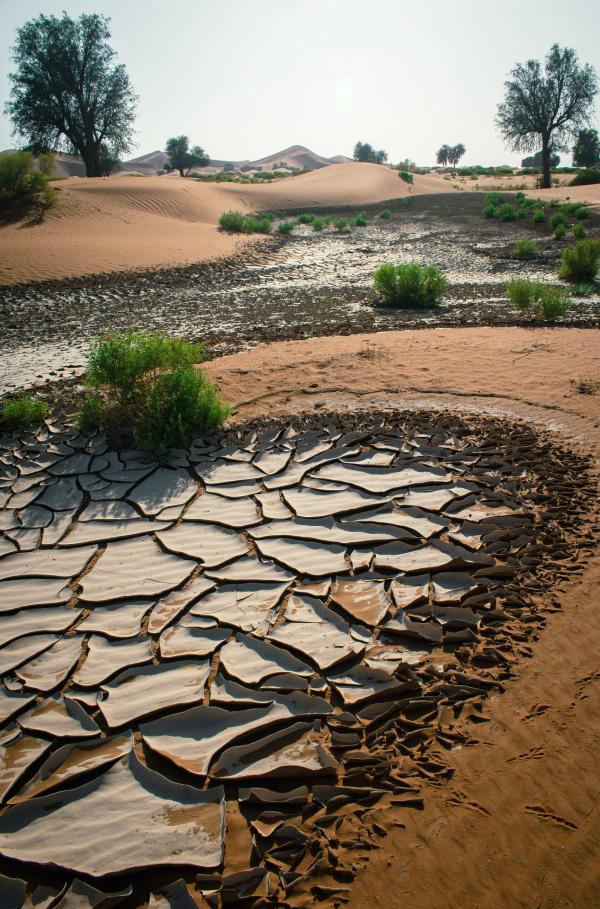 Bild 1 von 6: 40 Grad im Schatten sind im Sommer die Regel. Im Winter wird es nur minimal kühler. Im Wüstenstaat Oman ist Regen die Ausnahme, natürliche Flüsse oder Seen existieren nicht.