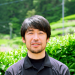 Japan von oben
