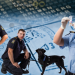Border Patrol New Zealand - Einsatz an der Grenze