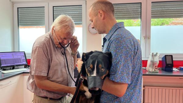 Bild 1 von 11: Dr. Behlert