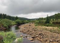 Vier Jahreszeiten - Ein Wald im Wandel