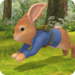 Peter Hase
