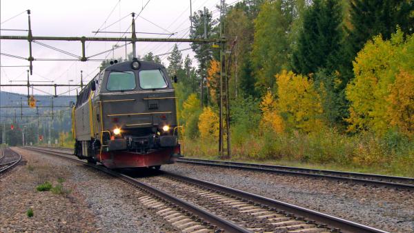 Bild 1 von 3: Für den Transport der schweren Rundhölzer sind die Bahnen von Hector Rail auf PS-starke Lokomotiven angewiesen.