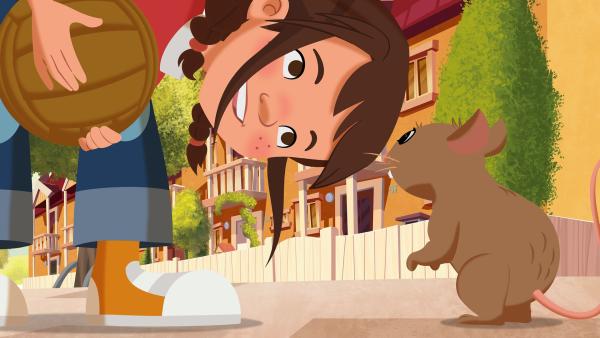 Bild 1 von 5: Tara entdeckt eine kleine Maus.