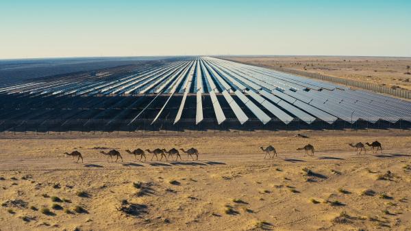 Bild 1 von 6: Das Sultanat setzt verstärkt auf erneuerbare Energien und den Bau von Solaranlagen.