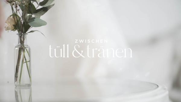Bild 1 von 4: 