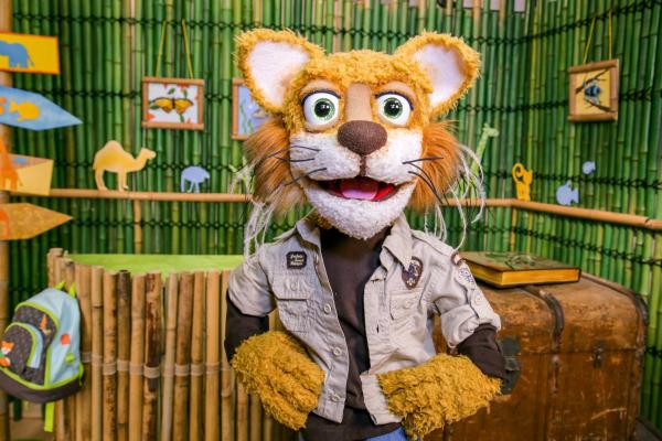 Bild 1 von 3: Kater Kurt.