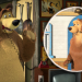 Mascha und der Bär