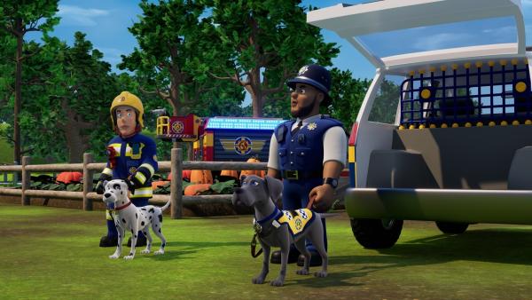 Bild 1 von 3: Beim Zusammentreiben der entlaufenen Schafe ist auf die Hunde Shadow und Schnuffi Verlass.
© KiKA/2024 Prism Art & Design Limited - Honorarfreie Verwendung gemäß AGB im engen inhaltlichen redaktionellen Zusammenhang mit genannter Sendung bei Nennung \