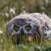 Natur Talente