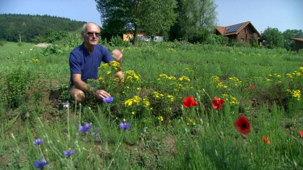 Bild 1 von 7: .