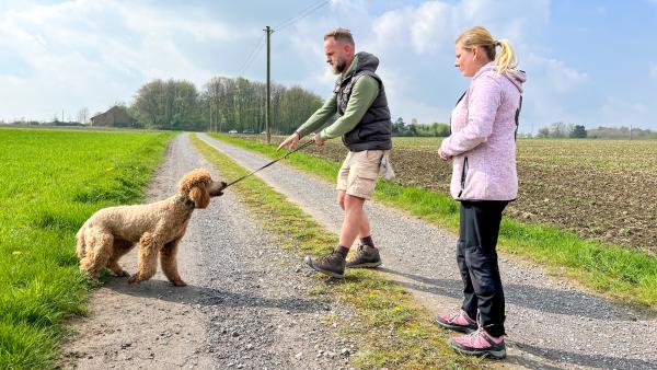 Bild 1 von 3: Sebastian sucht mit seiner Hündin Vivian Rat bei Hundetrainerin Denise, denn Vivian befolgt Kommandos nur schlecht. (Sebastian Sehling, Denise Essers).