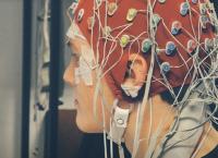 Geheimnisse des Gehirns