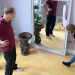 Bild 18