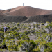 La Réunion - Naturwunder im Indischen Ozean