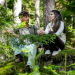 Bild 14