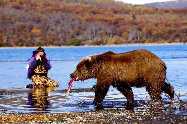 Bild 1 von 4: Im Bild: Grizzlies hautnah: Andreas Kieling hat ein einzigartiges Verhältnis zu freilebenden Graubären aufgebaut.