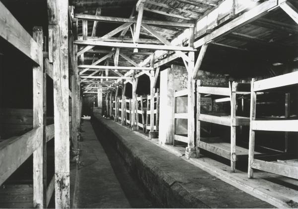 Bild 1 von 8: In Auschwitz müssen die Häftlinge unter menschenunwürdigen Bedingungen leben.