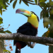 Costa Rica - Natur unter dem Regenbogen