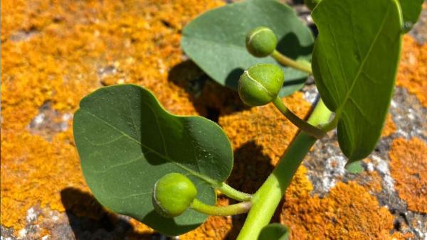 Bild 1 von 3: .