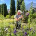 Im Rausch der Blumen: Von Festen und Jahreszeiten