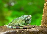 Stadt Land Kunst Spezial