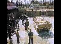 Das Kriegsende in Farbe