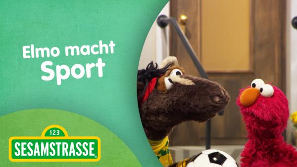 Bild 1 von 2: Pferd und Elmo