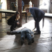 Bild 6