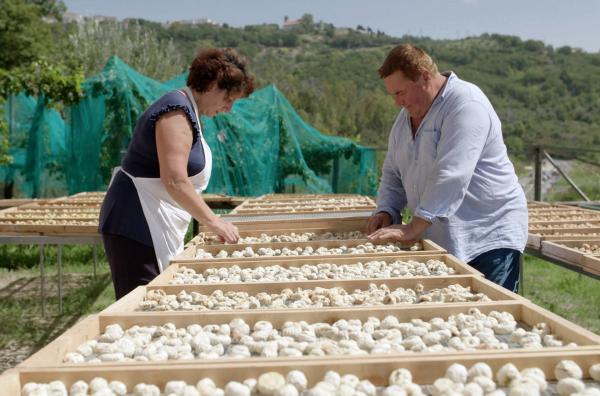 Bild 1 von 6: Teresa und Antonio Rizzo beim Trocknen der Cilento-Feige