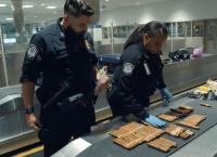 Airport Security USA