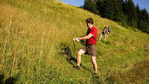Bild 1 von 4: Im Bild: Sensengruppe bei der Arbeit.