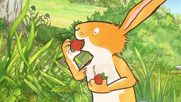 Bild 1 von 5: Der kleine Hase kann der Versuchung nicht widerstehen und isst die Erdbeeren auf, bevor er beim großen Hasen ankommt.