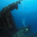 Bilder zur Sendung: Jacques Cousteau's Vermächtnis