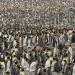 Abenteuer Wildnis