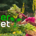 Querbeet