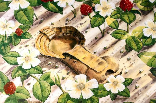 Bild 1 von 8: Im Bild: Das neue Versammlungslokal.