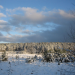 Winter in Ostpreußens Zauberwald